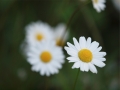 149487_orig